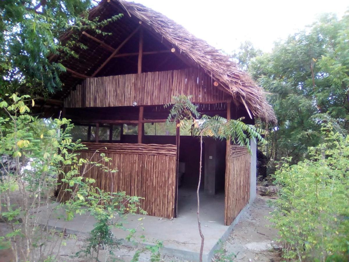 Mangrove View Bed and Breakfast Watamu Eksteriør billede