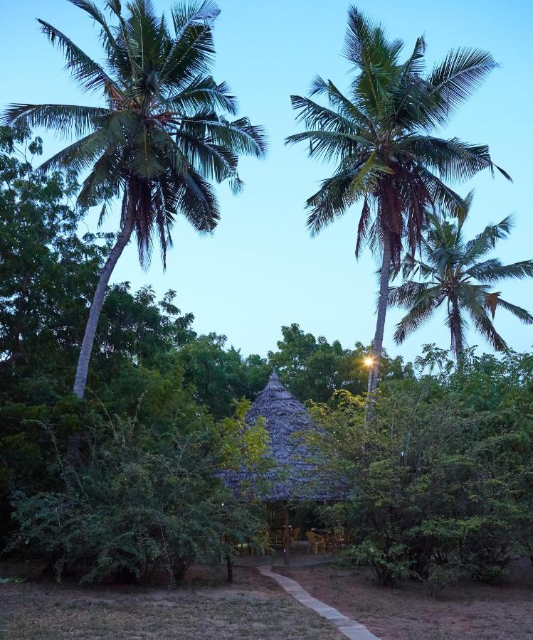 Mangrove View Bed and Breakfast Watamu Eksteriør billede