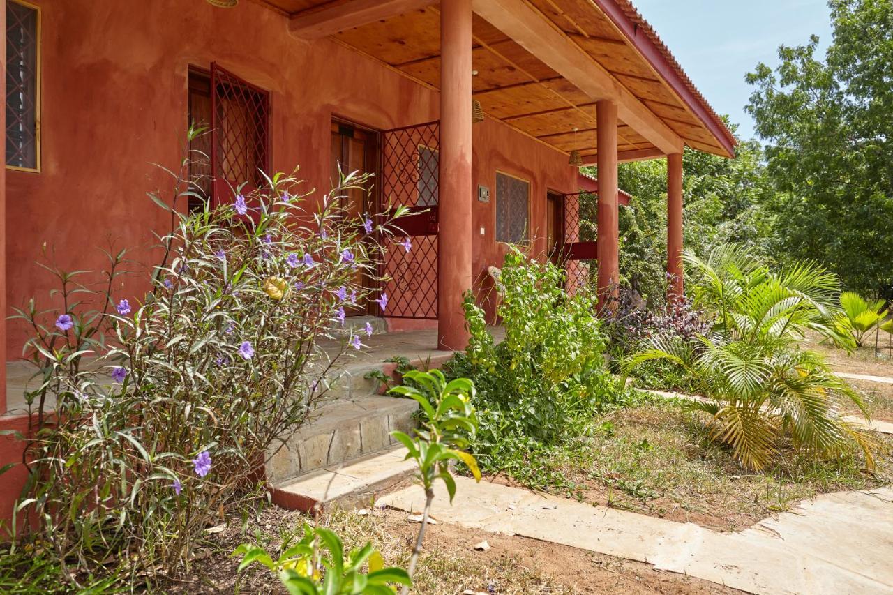 Mangrove View Bed and Breakfast Watamu Eksteriør billede